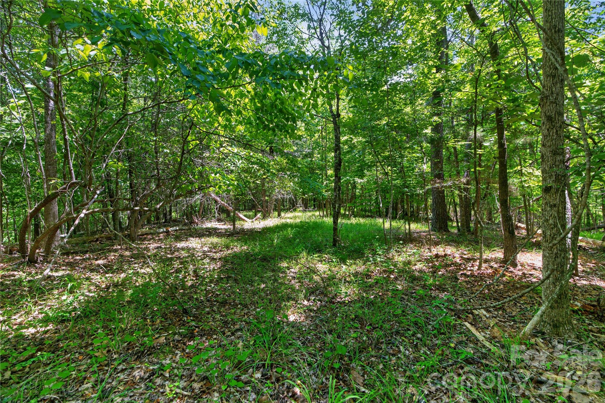0 Blanton Road, Unit 2 Sharon, SC 29742 - Photo 36 of 43