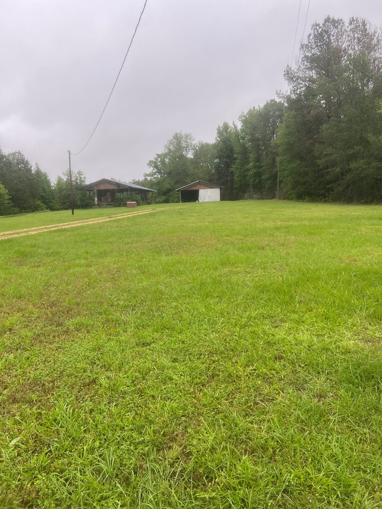 5862 Lucas Road Liberty, MS 39645 - Photo 3 of 14 Photo 3