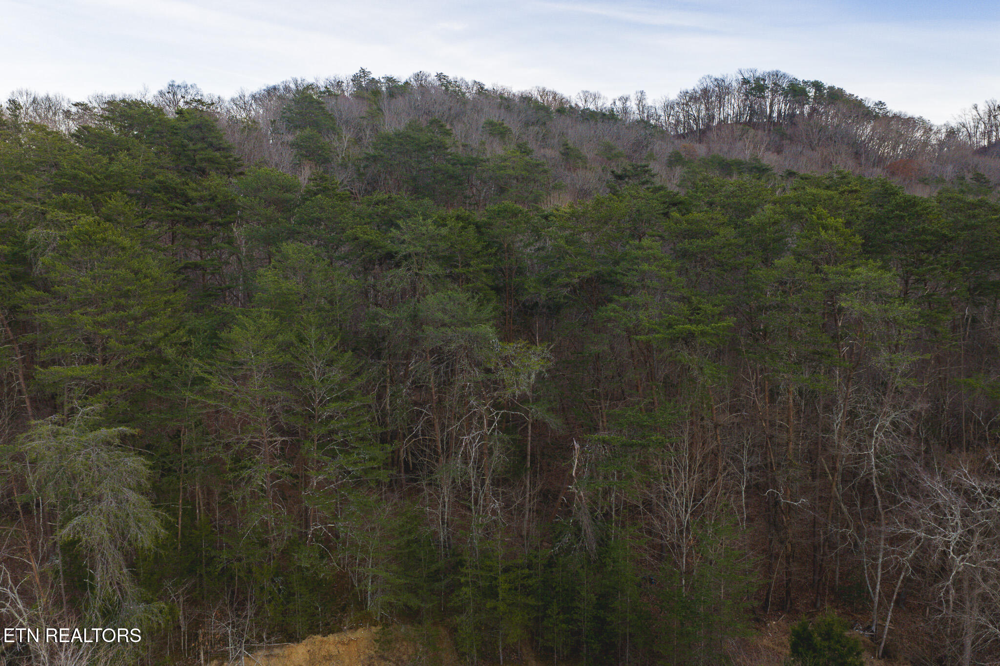 1655 Lester Whitt Road Rutledge, TN 37861 - Photo 12 of 40 DJI_20260105172516_0594_D