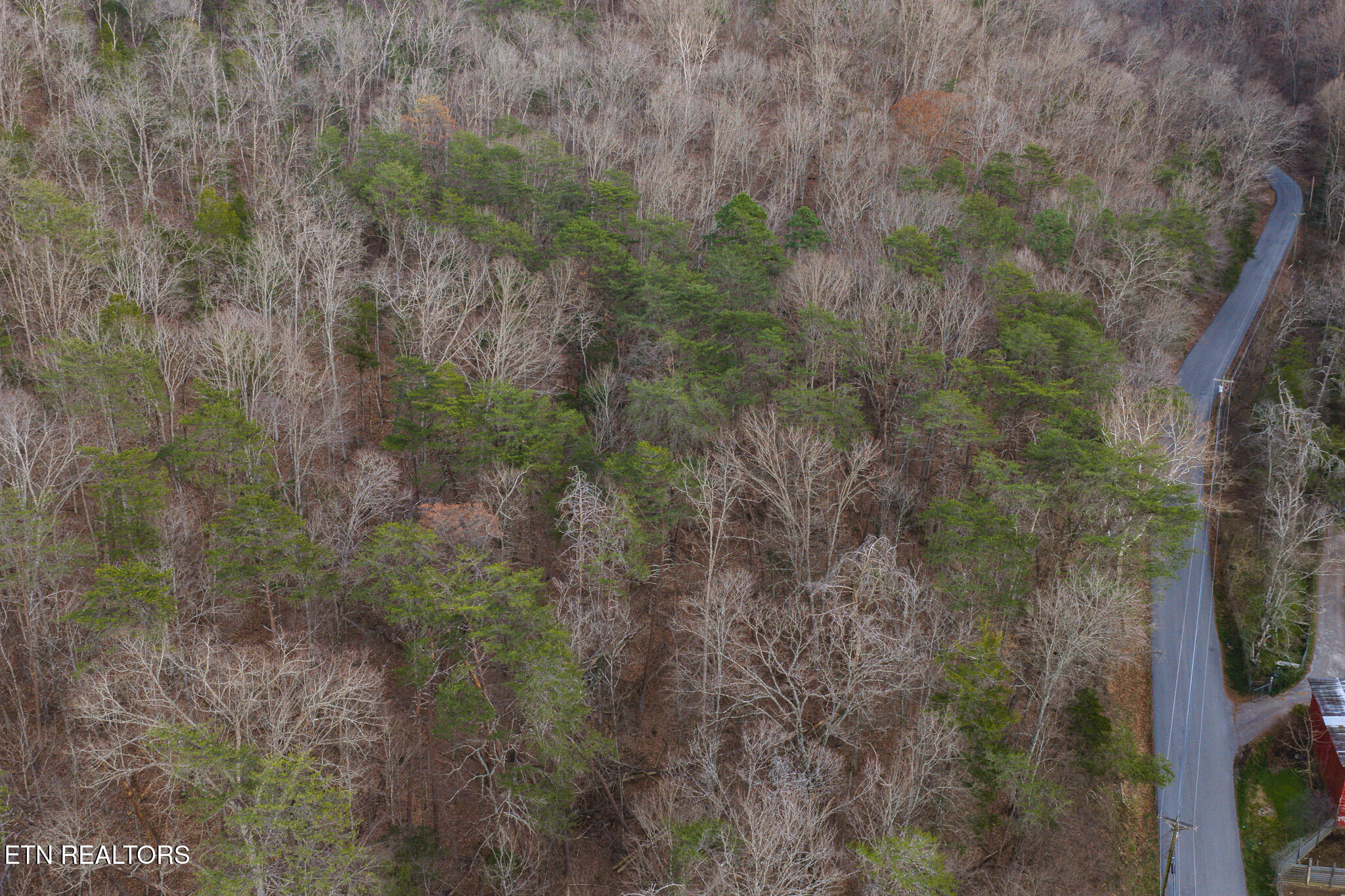 1655 Lester Whitt Road Rutledge, TN 37861 - Photo 13 of 40 DJI_20260105172720_0599_D