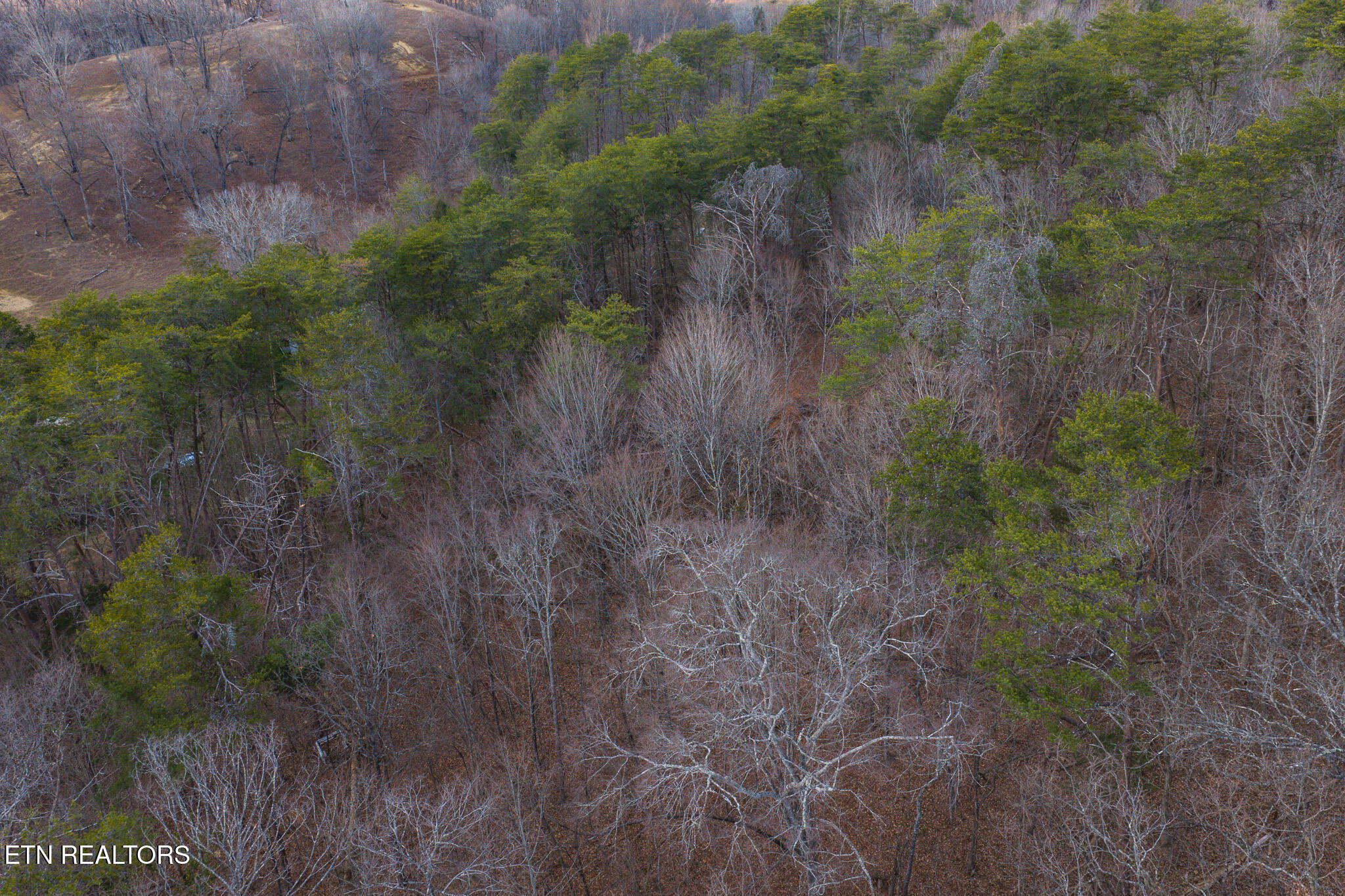 1655 Lester Whitt Road Rutledge, TN 37861 - Photo 15 of 40 DJI_20260105172856_0606_D