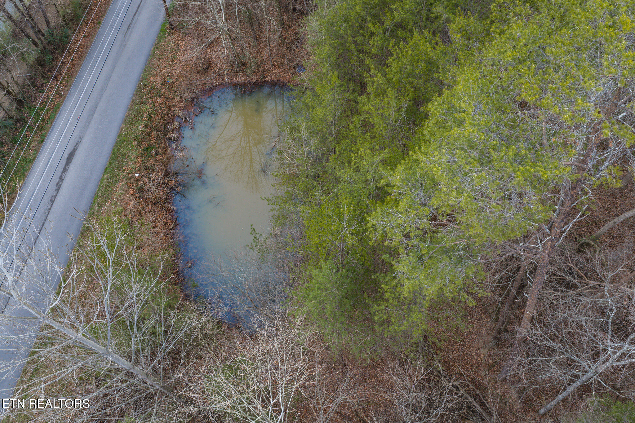 1655 Lester Whitt Road Rutledge, TN 37861 - Photo 16 of 40 DJI_20260105172926_0607_D