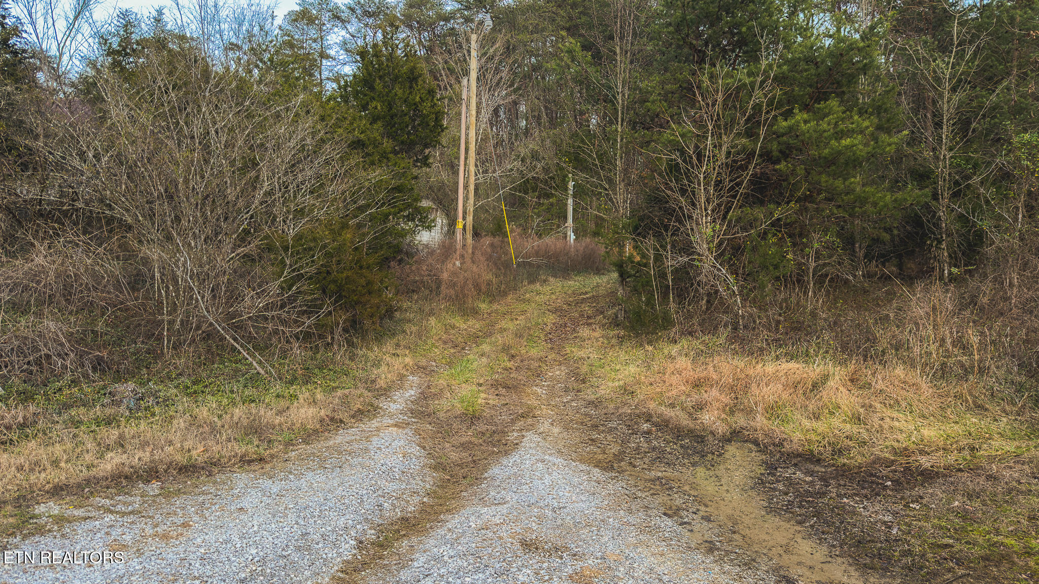 1655 Lester Whitt Road Rutledge, TN 37861 - Photo 18 of 40 IMG_1129