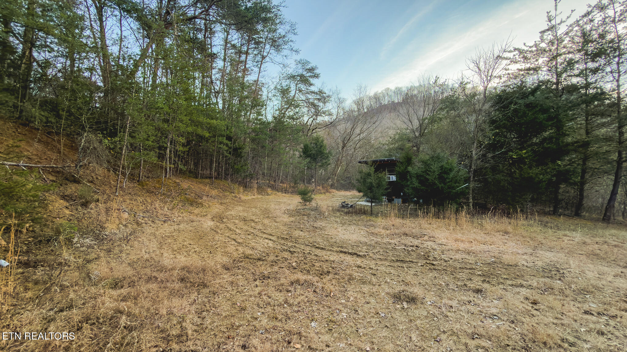 1655 Lester Whitt Road Rutledge, TN 37861 - Photo 20 of 40 IMG_1133
