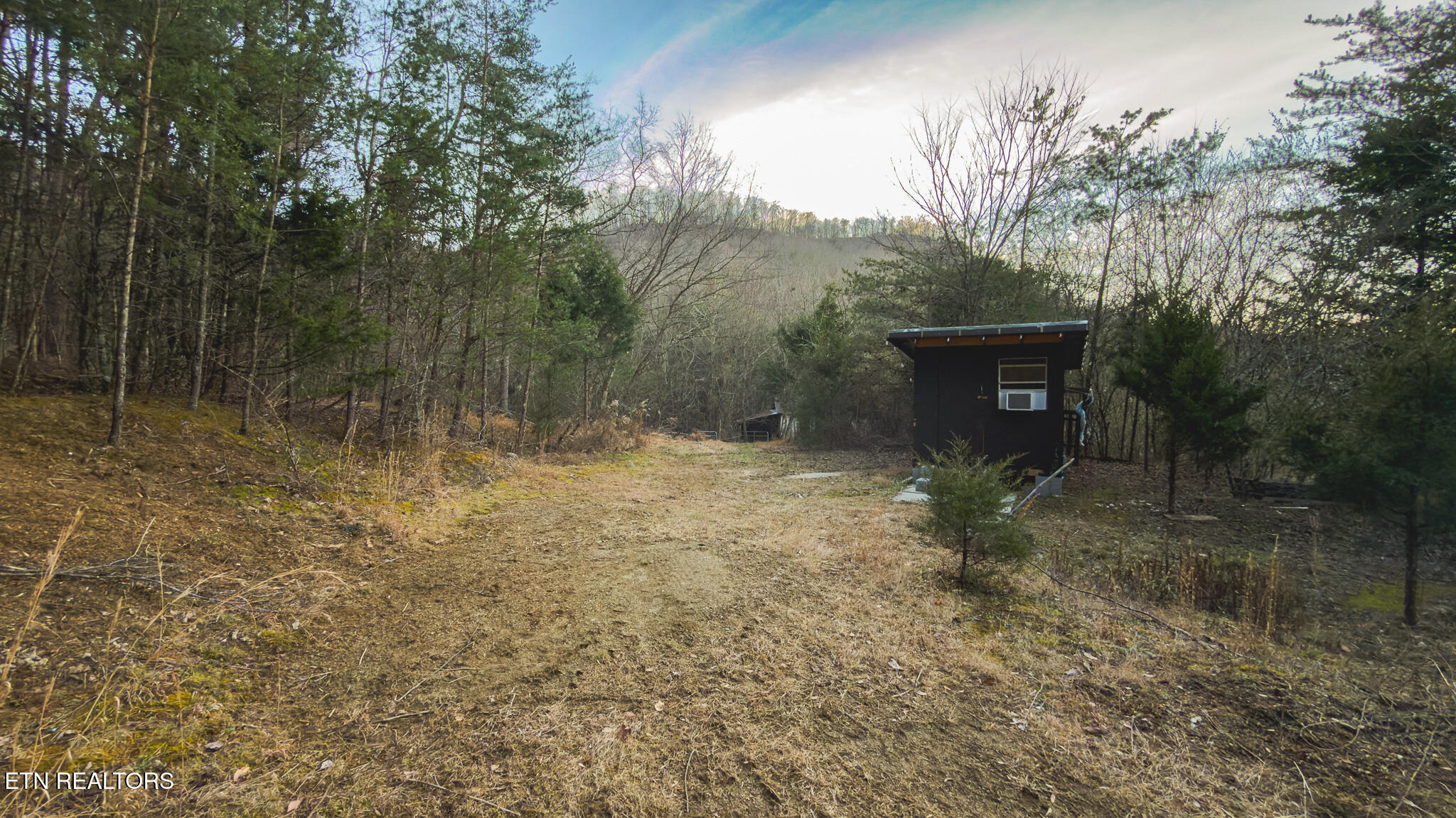 1655 Lester Whitt Road Rutledge, TN 37861 - Photo 21 of 40 IMG_1134