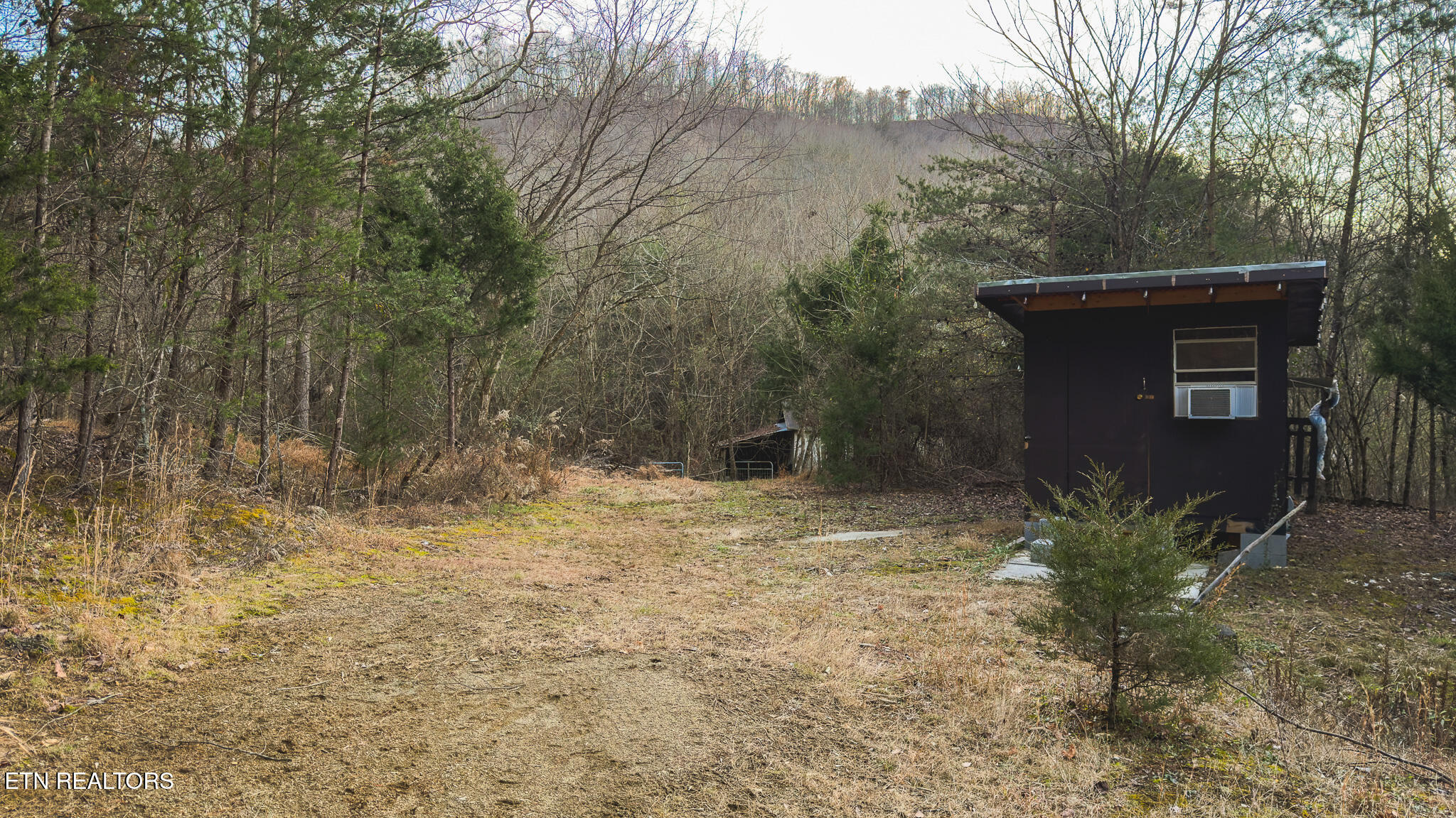 1655 Lester Whitt Road Rutledge, TN 37861 - Photo 22 of 40 IMG_1135
