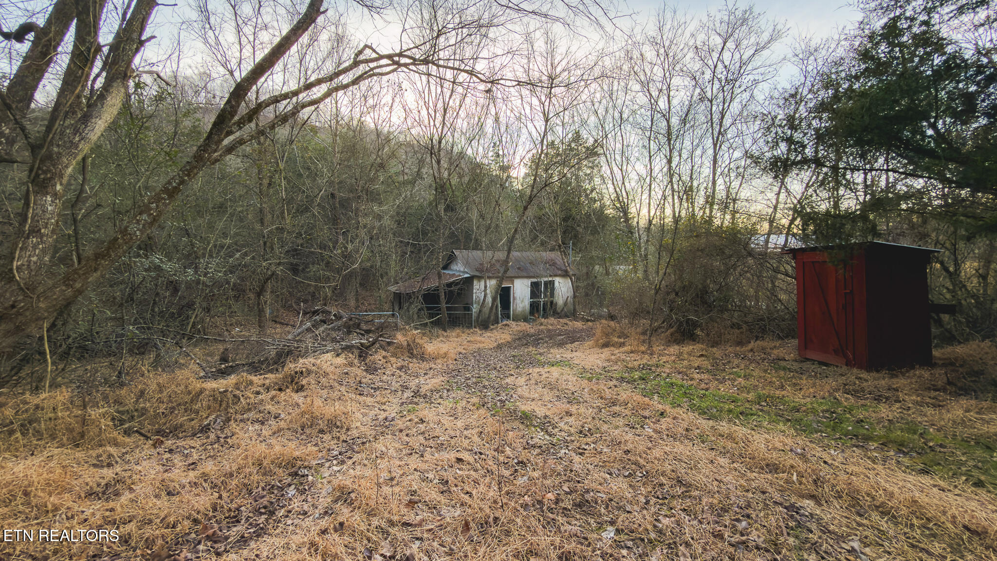 1655 Lester Whitt Road Rutledge, TN 37861 - Photo 24 of 40 IMG_1139