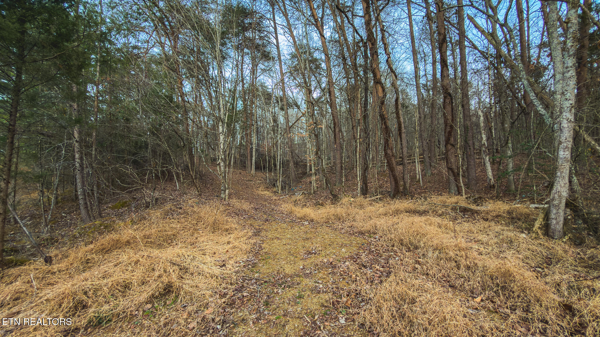 1655 Lester Whitt Road Rutledge, TN 37861 - Photo 25 of 40 IMG_1140