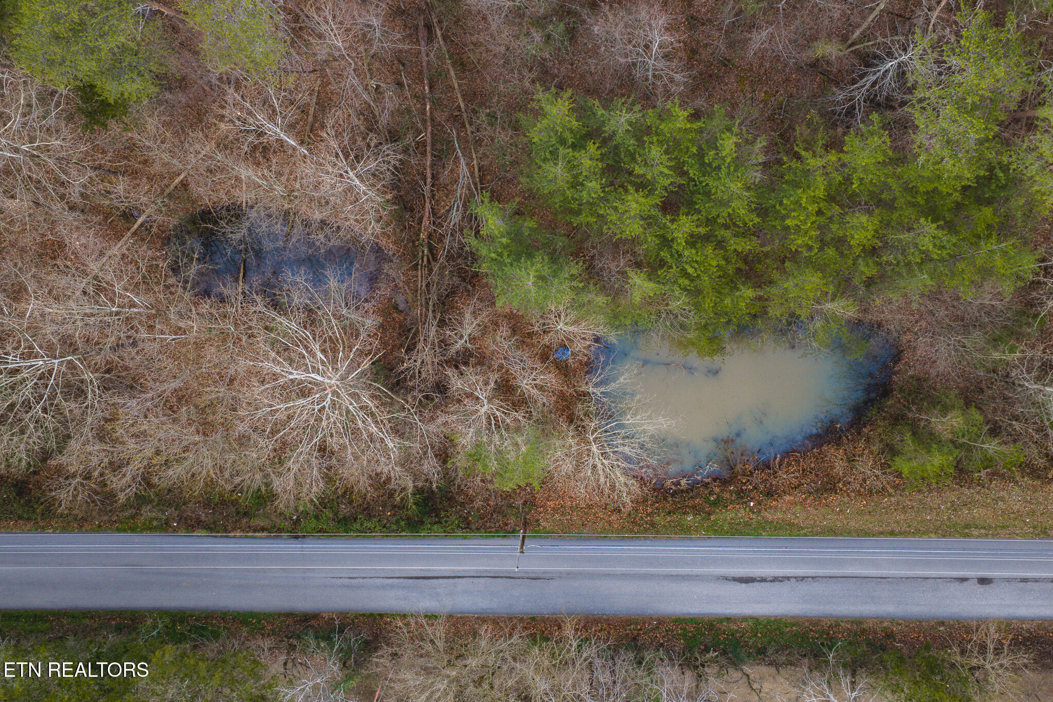 1655 Lester Whitt Road Rutledge, TN 37861 - Photo 3 of 40 DJI_20260105172731_0601_D