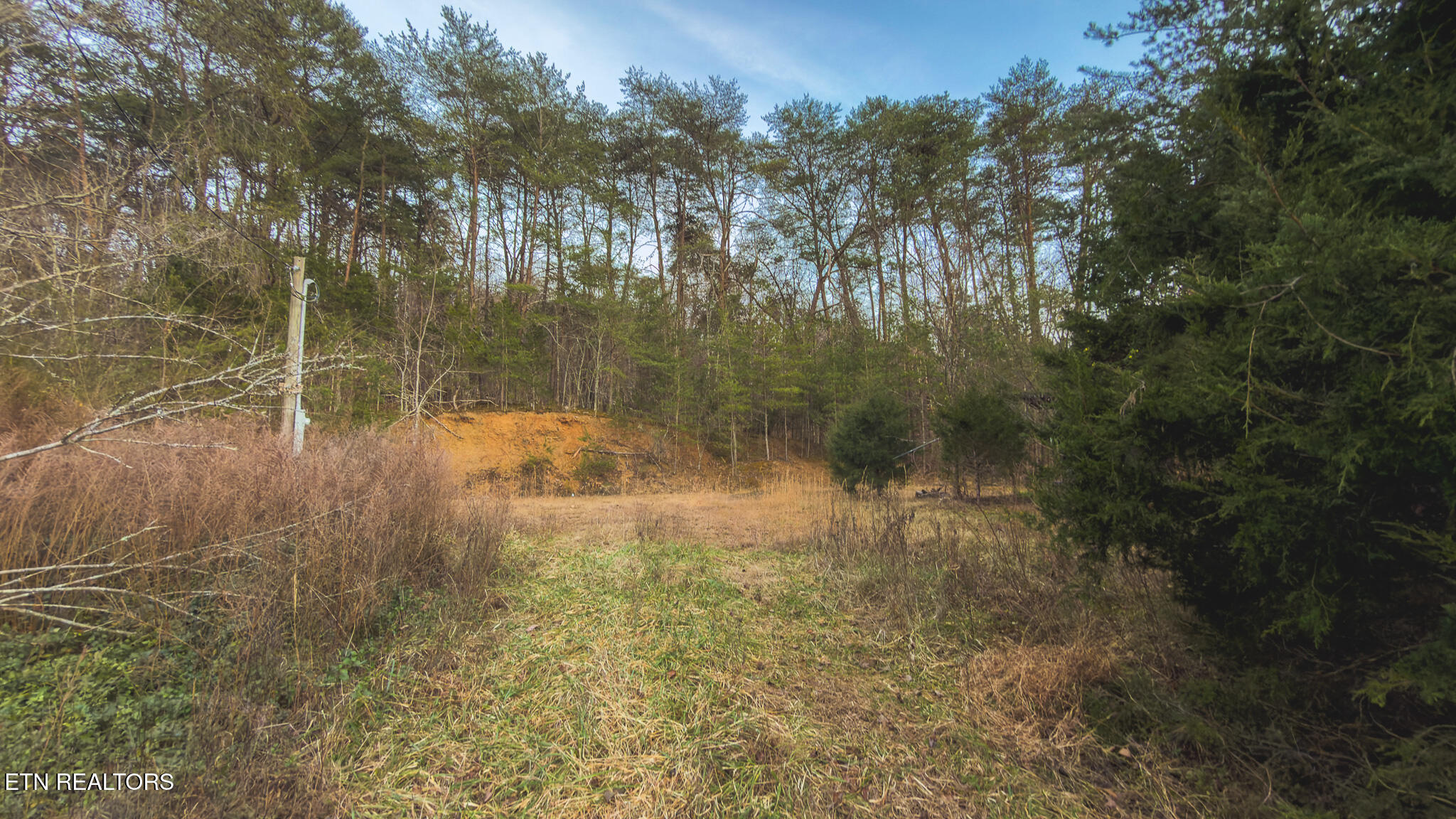 1655 Lester Whitt Road Rutledge, TN 37861 - Photo 5 of 40 IMG_1131