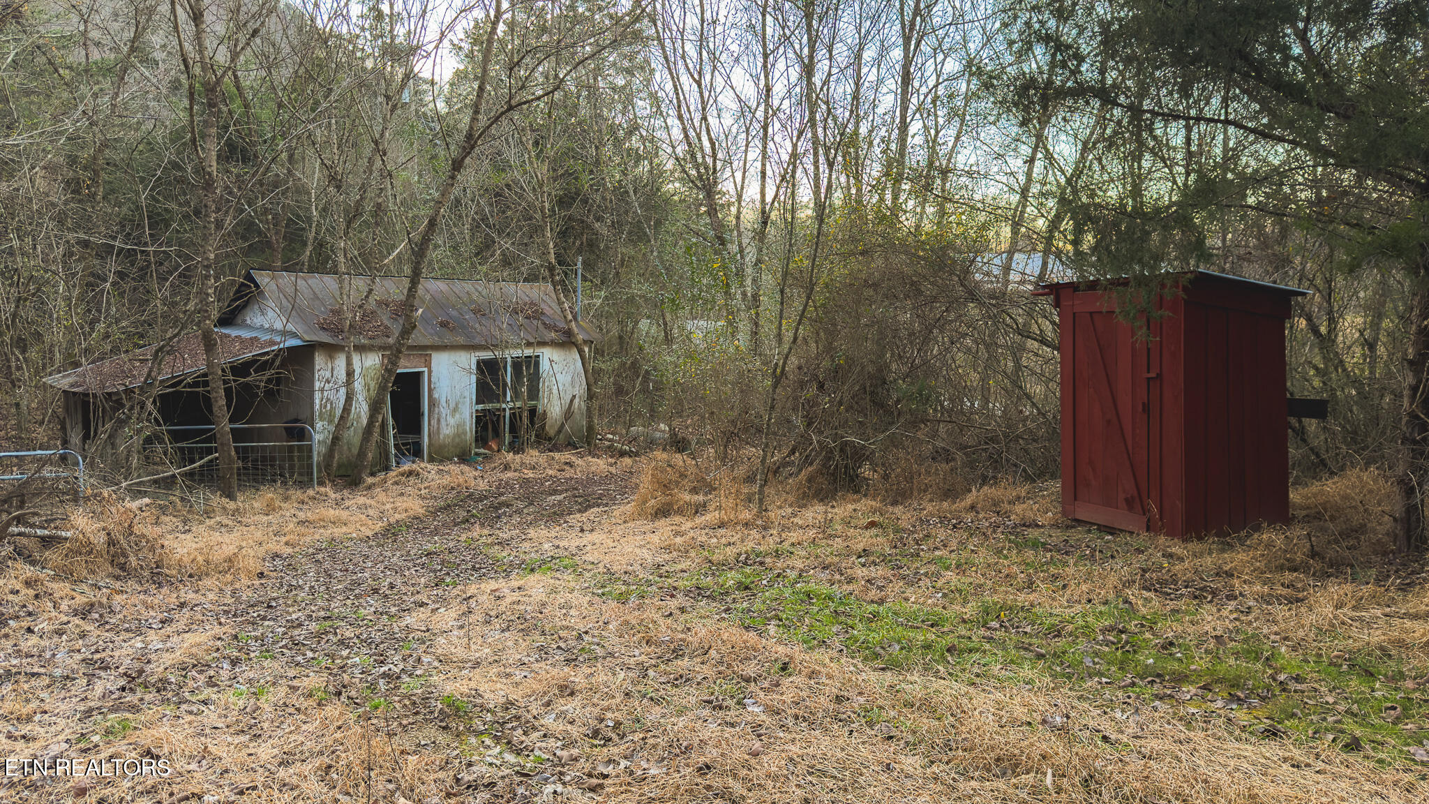 1655 Lester Whitt Road Rutledge, TN 37861 - Photo 7 of 40 IMG_1138