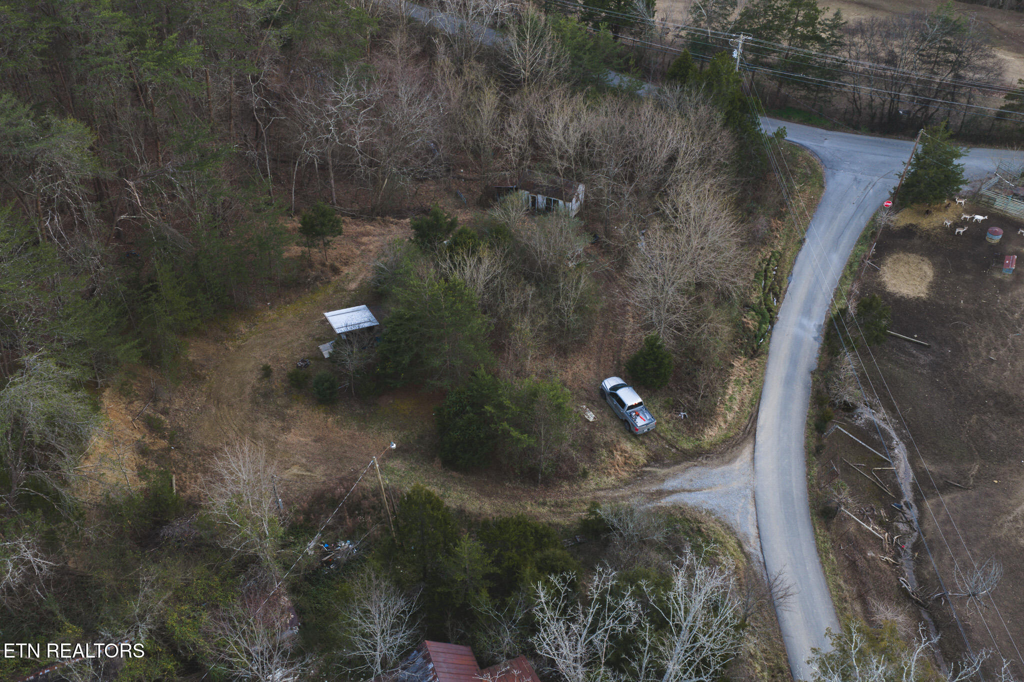 1655 Lester Whitt Road Rutledge, TN 37861 - Photo 8 of 40 DJI_20260105172417_0590_D