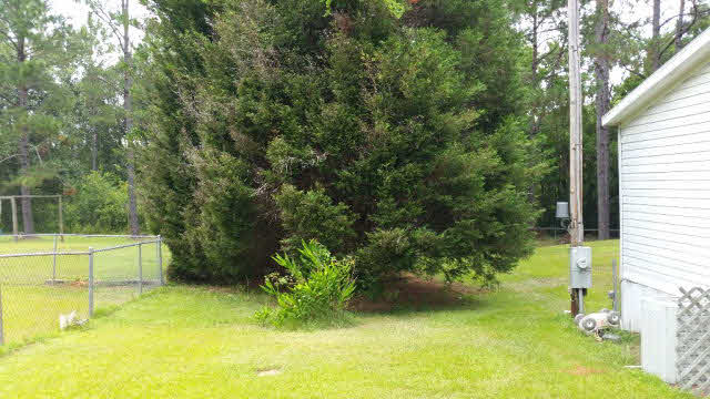 18929 Bull Springs Road Robertsdale, AL 36567 - Photo 11 of 26