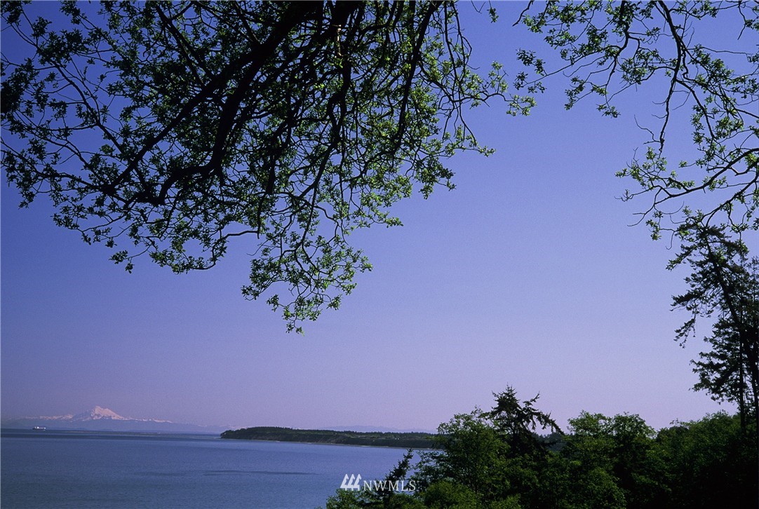 339 Finn Hall Road Port Angeles, WA 98362 - Photo 2 of 25 Gallery Image 2