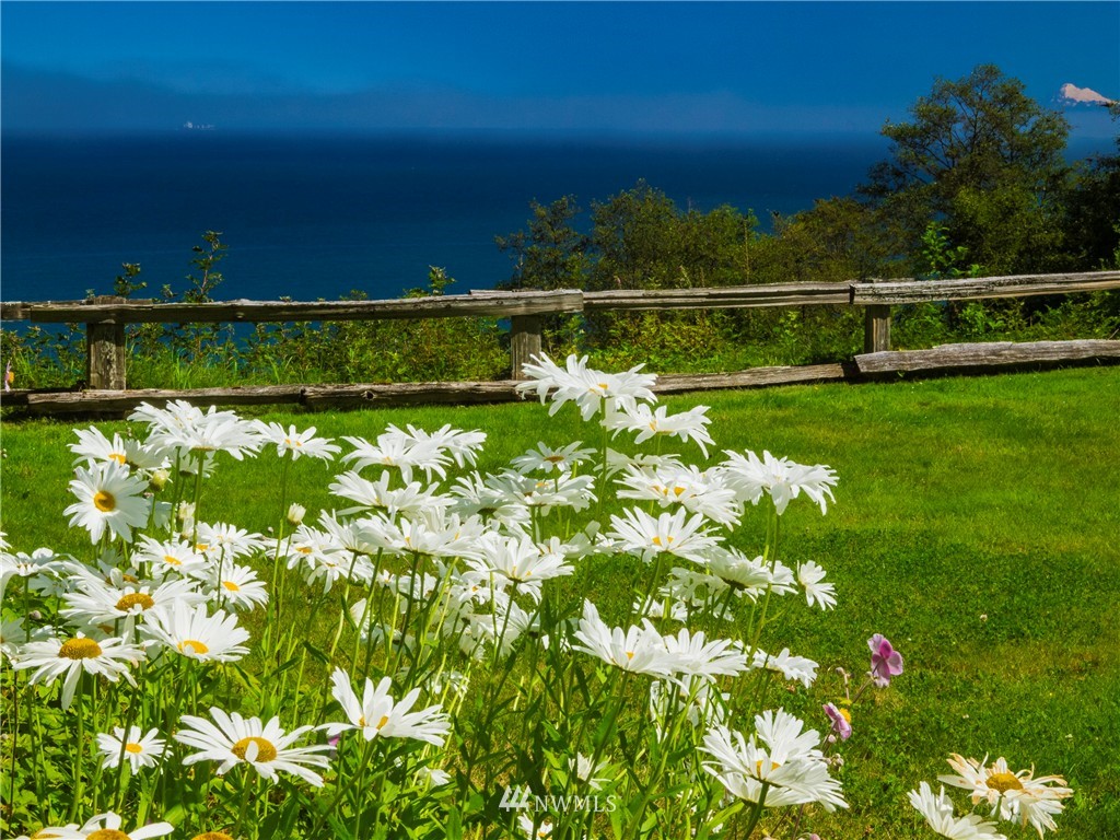 339 Finn Hall Road Port Angeles, WA 98362 - Photo 5 of 25 Gallery Image 5
