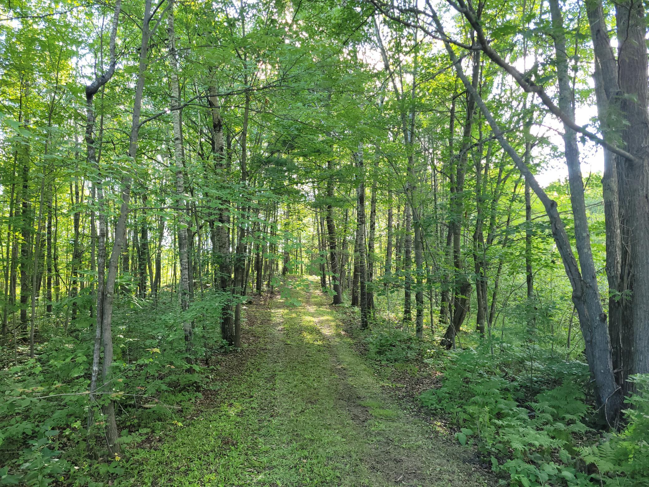 53065 Sjodahl Road Sandstone, MN 55072 - Photo 1 of 1 Gallery Image 1