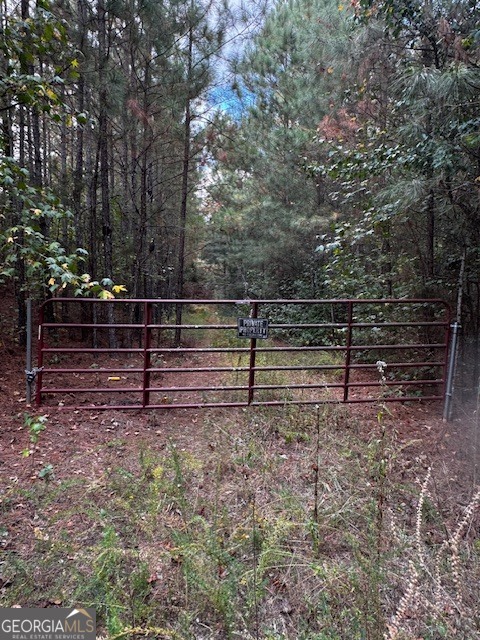 230 Dodgen Road Hampton, GA 30228 - Photo 11 of 13