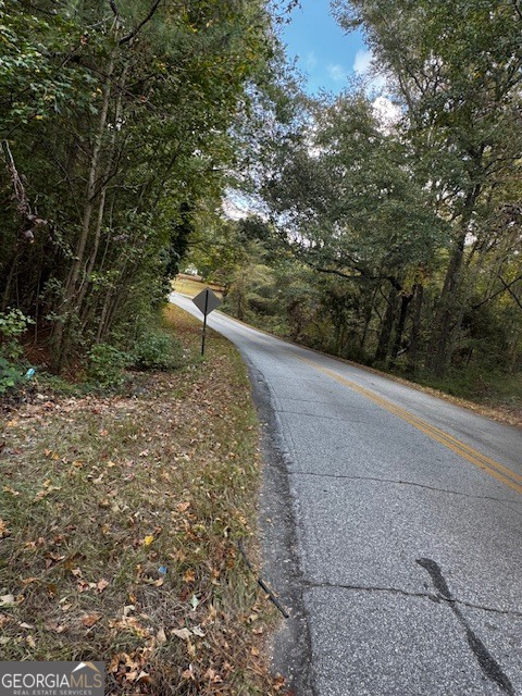 230 Dodgen Road Hampton, GA 30228 - Photo 12 of 13