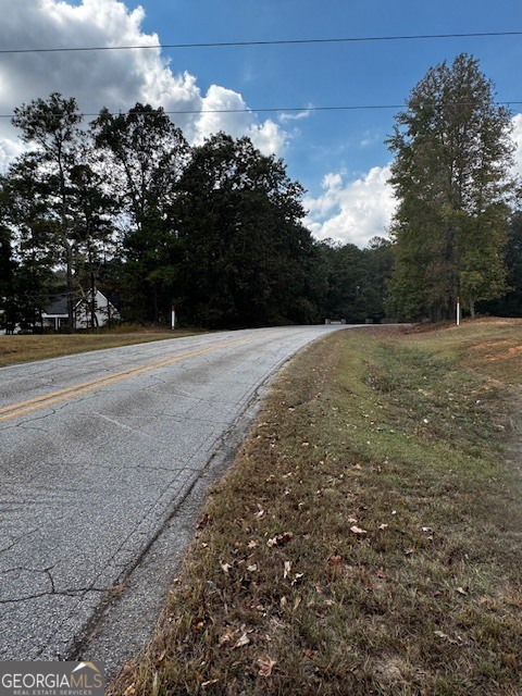 230 Dodgen Road Hampton, GA 30228 - Photo 13 of 13