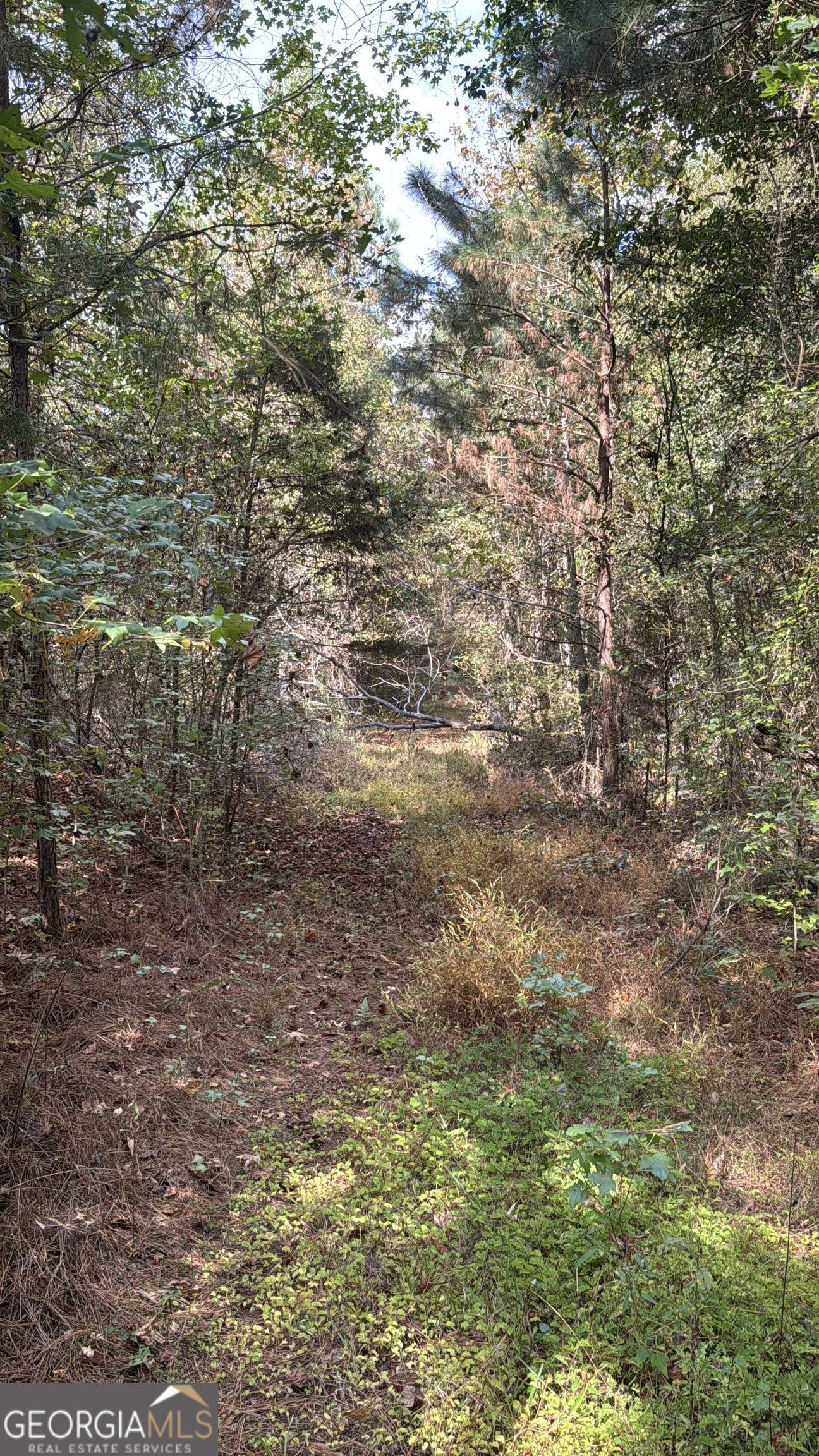 230 Dodgen Road Hampton, GA 30228 - Photo 4 of 13
