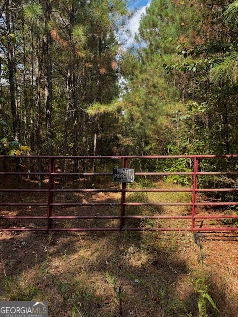 230 Dodgen Road Hampton, GA 30228 - Photo 6 of 13