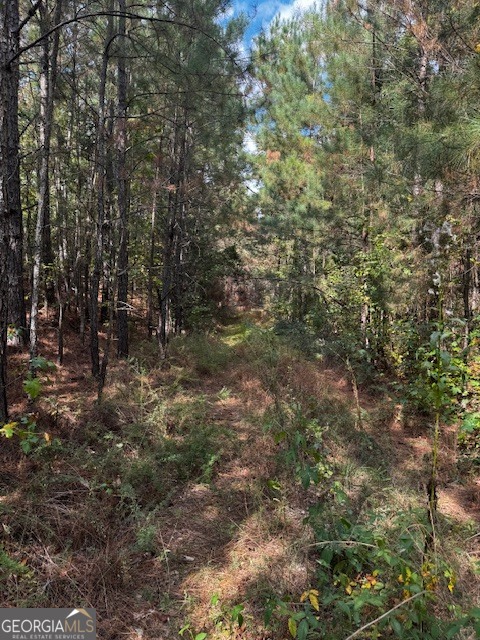 230 Dodgen Road Hampton, GA 30228 - Photo 7 of 13