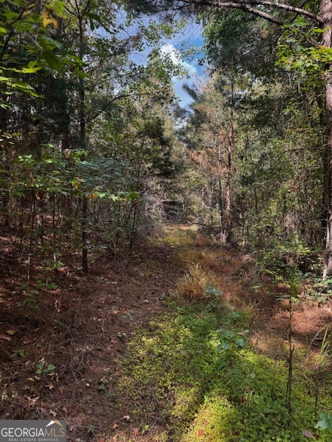 230 Dodgen Road Hampton, GA 30228 - Photo 8 of 13