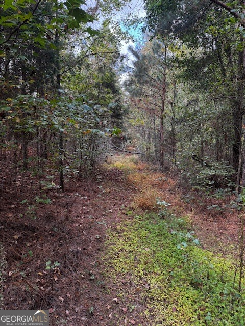 230 Dodgen Road Hampton, GA 30228 - Photo 10 of 13