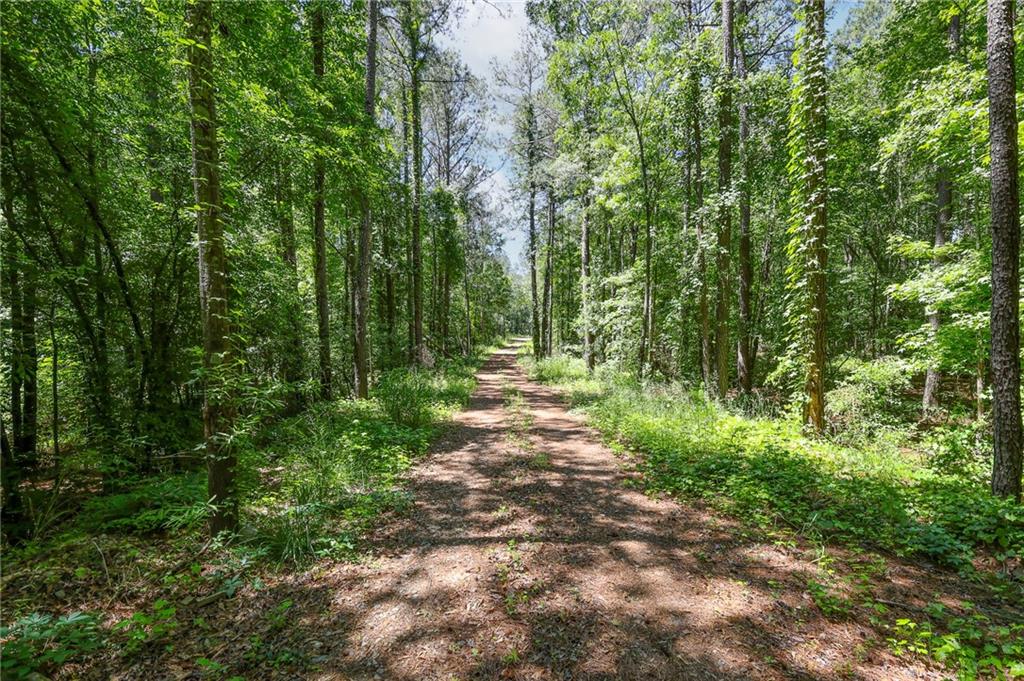 0 Manning Gin Road Monroe, GA 30656 - Photo 5 of 7 a view of outdoor space and green space