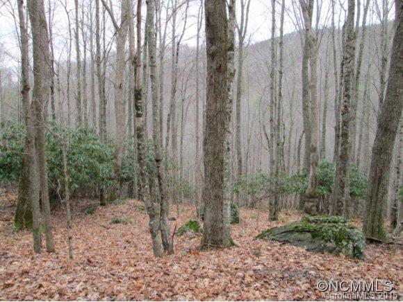 1502 Watershed Road Mars Hill, NC 28754 - Photo 23 of 24 Gallery Image 23
