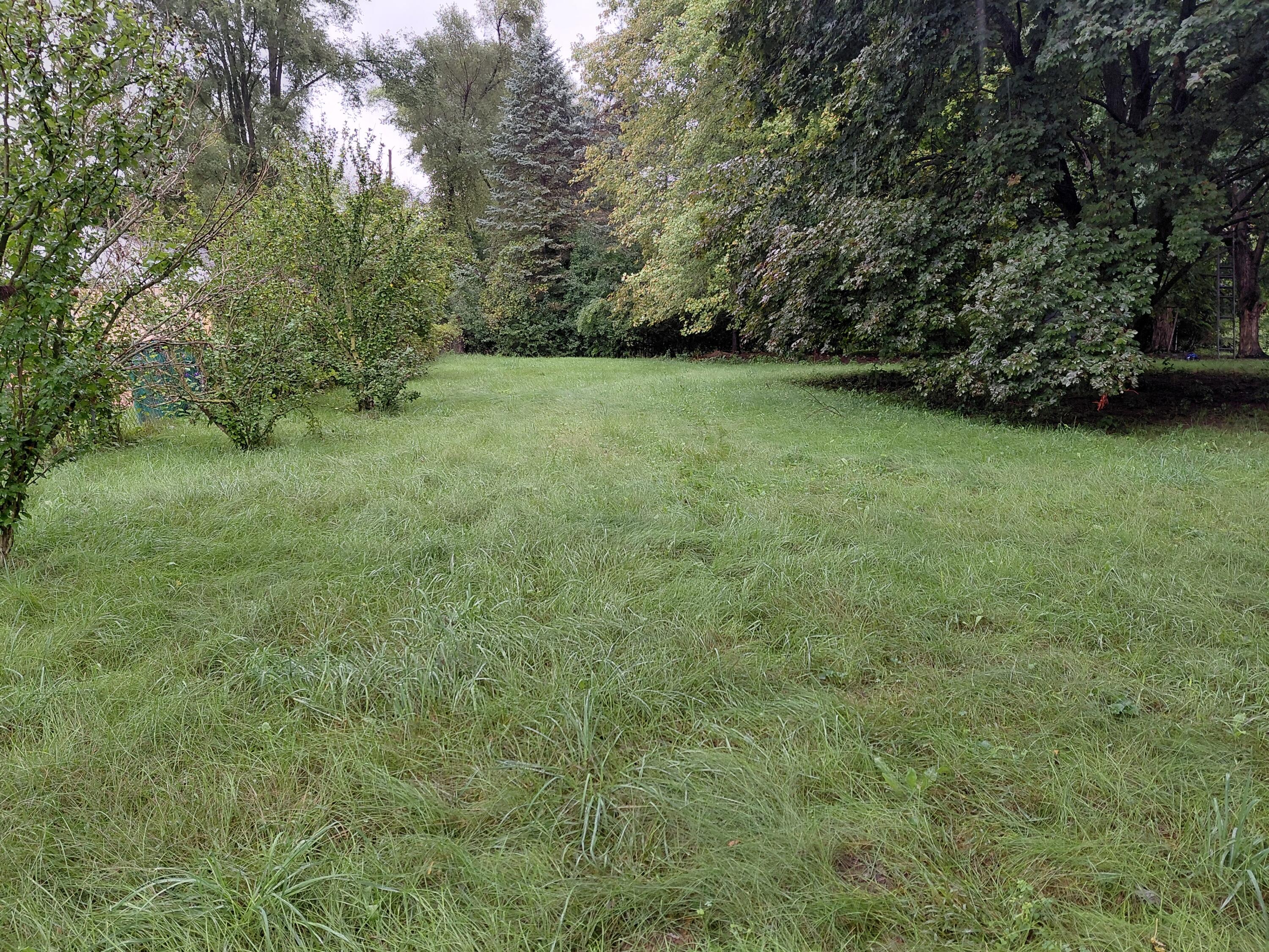 1436 North Prospect Road Ypsilanti, MI 48198 - Photo 42 of 50 20260919_132918