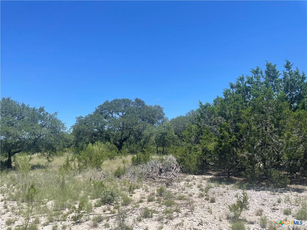 Lot 65 Estate View Circle Lampasas, TX 76550 - Photo 15 of 18 a view of a dry yard with trees in the background