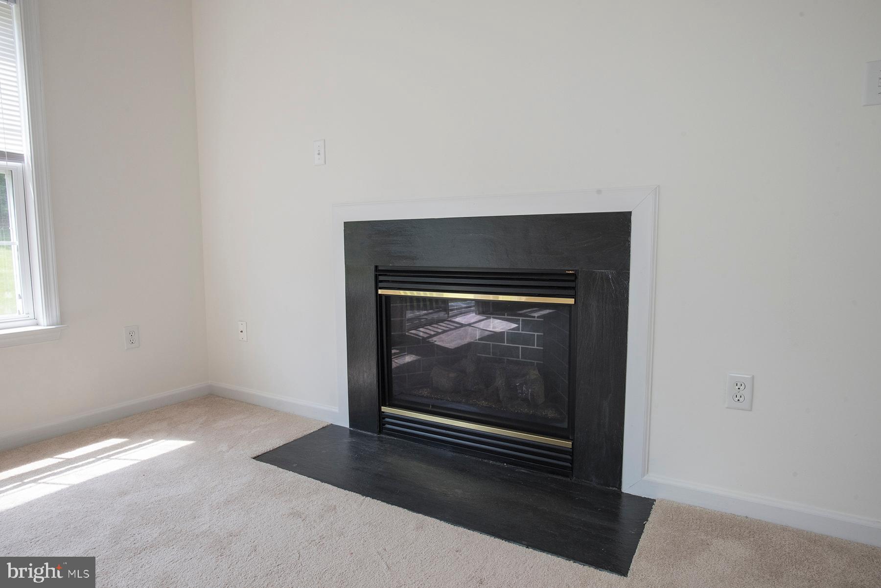 115 Eagles Ridge Smithsburg, MD 21783 - Photo 9 of 25 Gallery Image 9