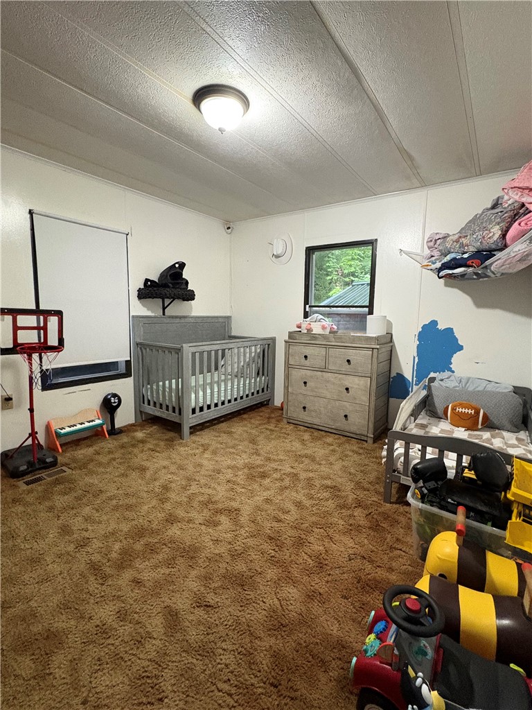 2155 Mulholland Road Erwin, NY 14870 - Photo 11 of 14