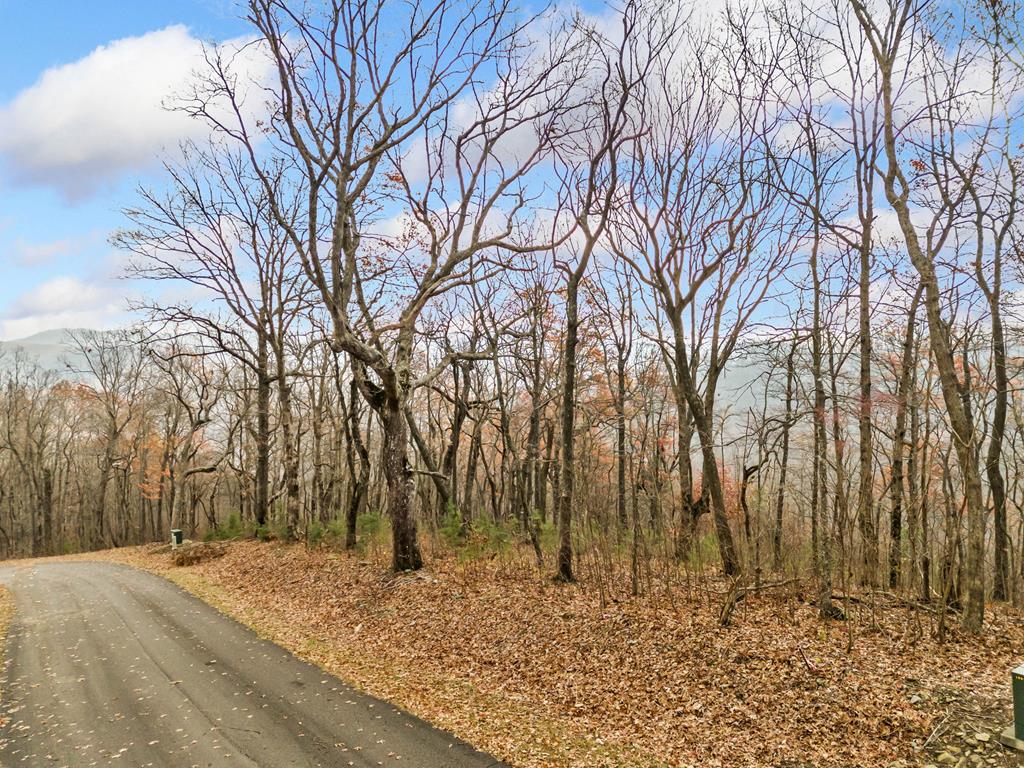 Lt273 Andes Ridge Jasper, GA 30143 - Photo 11 of 24