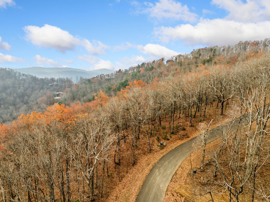 Lt273 Andes Ridge Jasper, GA 30143 - Photo 12 of 24