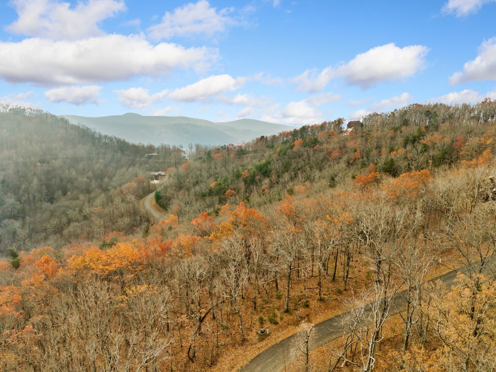 Lt273 Andes Ridge Jasper, GA 30143 - Photo 13 of 24