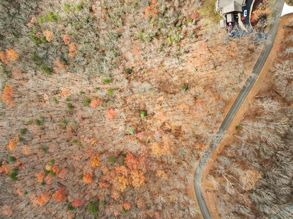 Lt273 Andes Ridge Jasper, GA 30143 - Photo 14 of 24