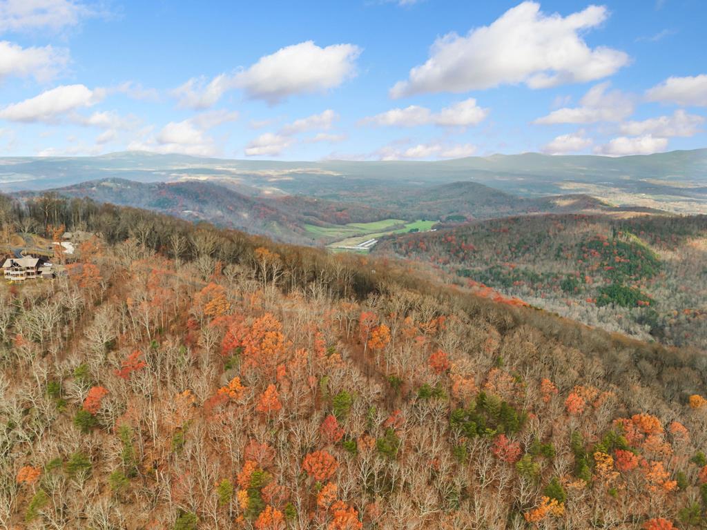 Lt273 Andes Ridge Jasper, GA 30143 - Photo 16 of 24