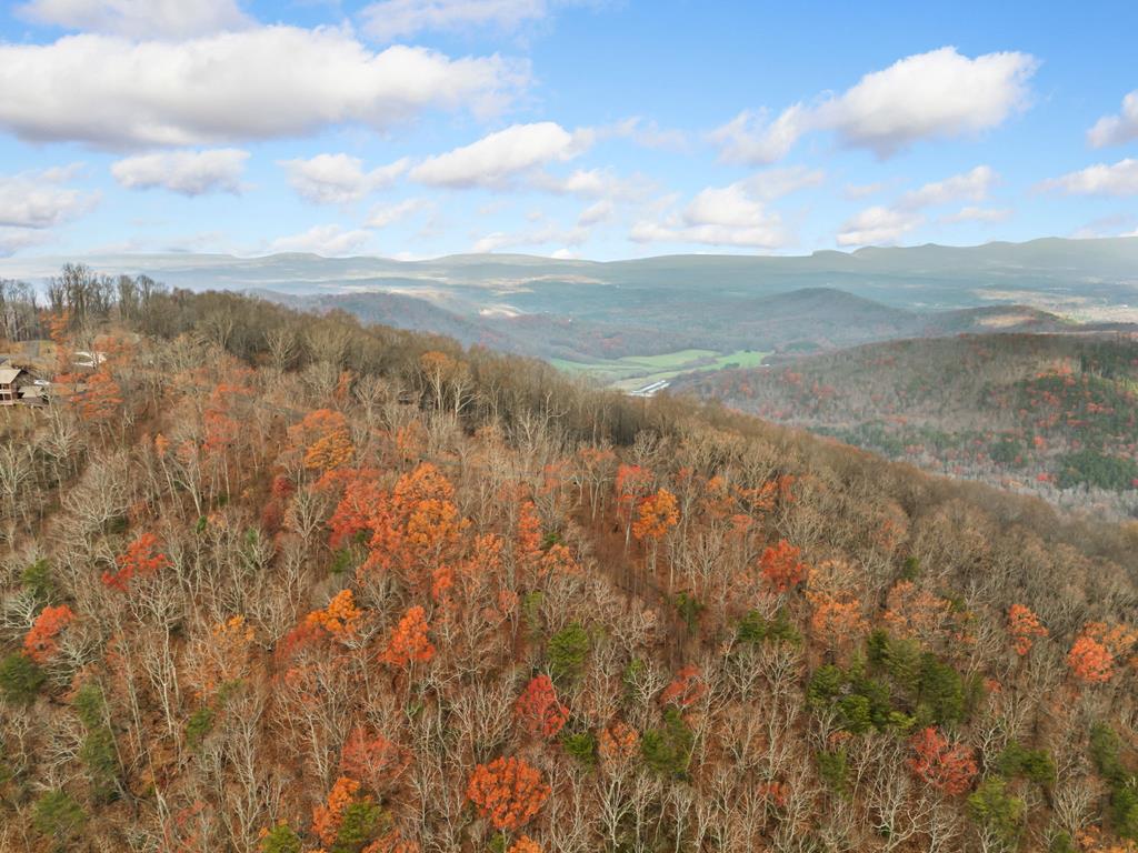 Lt273 Andes Ridge Jasper, GA 30143 - Photo 17 of 24