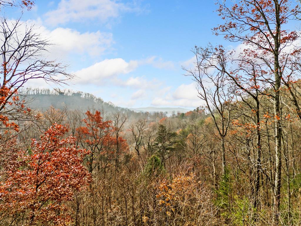 Lt273 Andes Ridge Jasper, GA 30143 - Photo 18 of 24