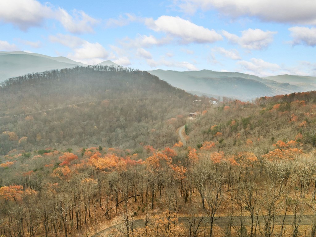 Lt273 Andes Ridge Jasper, GA 30143 - Photo 19 of 24