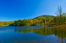 Lt273 Andes Ridge Jasper, GA 30143 - Photo 21 of 24