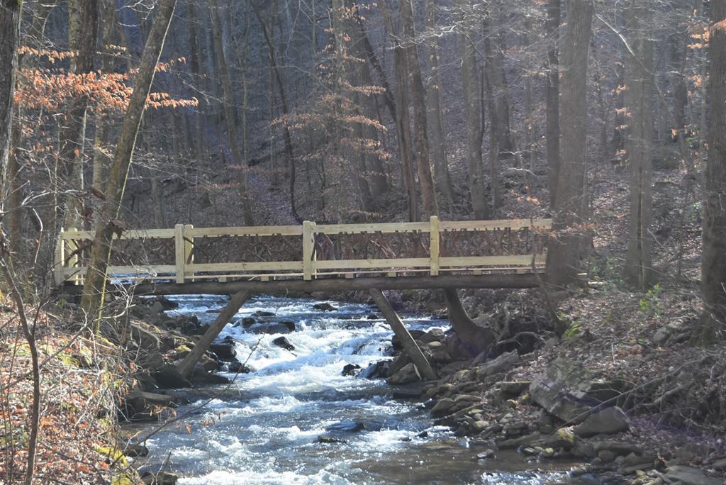 Lt273 Andes Ridge Jasper, GA 30143 - Photo 24 of 24