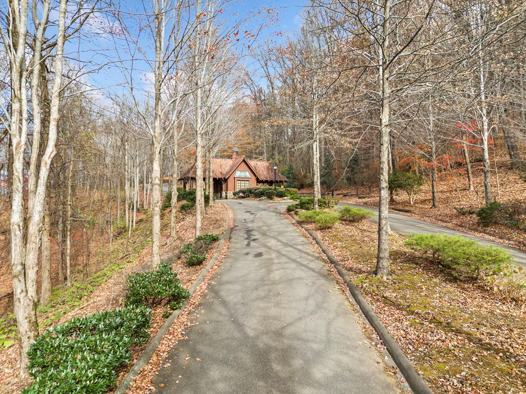 Lt273 Andes Ridge Jasper, GA 30143 - Photo 3 of 24