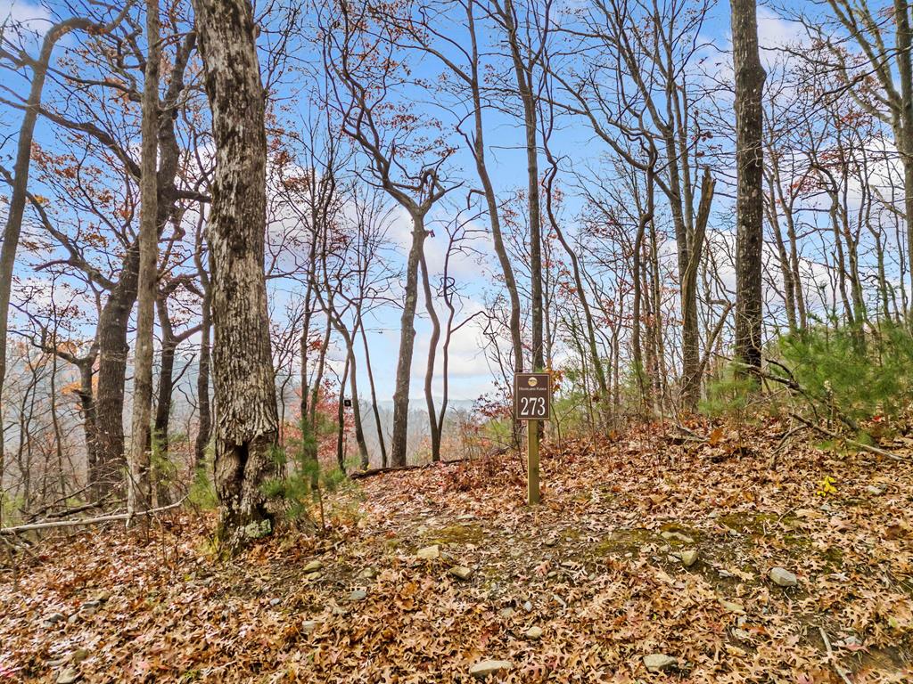 Lt273 Andes Ridge Jasper, GA 30143 - Photo 7 of 24