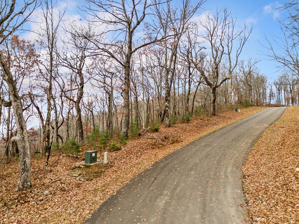 Lt273 Andes Ridge Jasper, GA 30143 - Photo 9 of 24