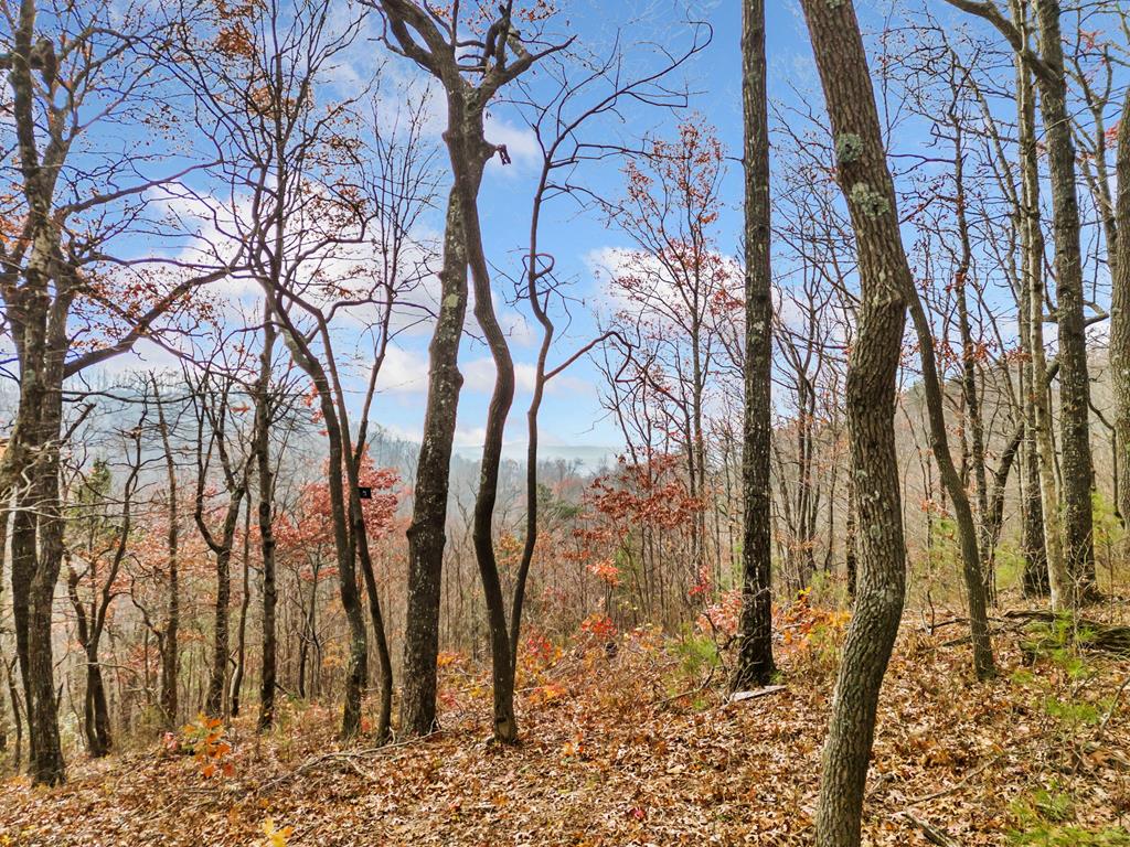 Lt273 Andes Ridge Jasper, GA 30143 - Photo 10 of 24