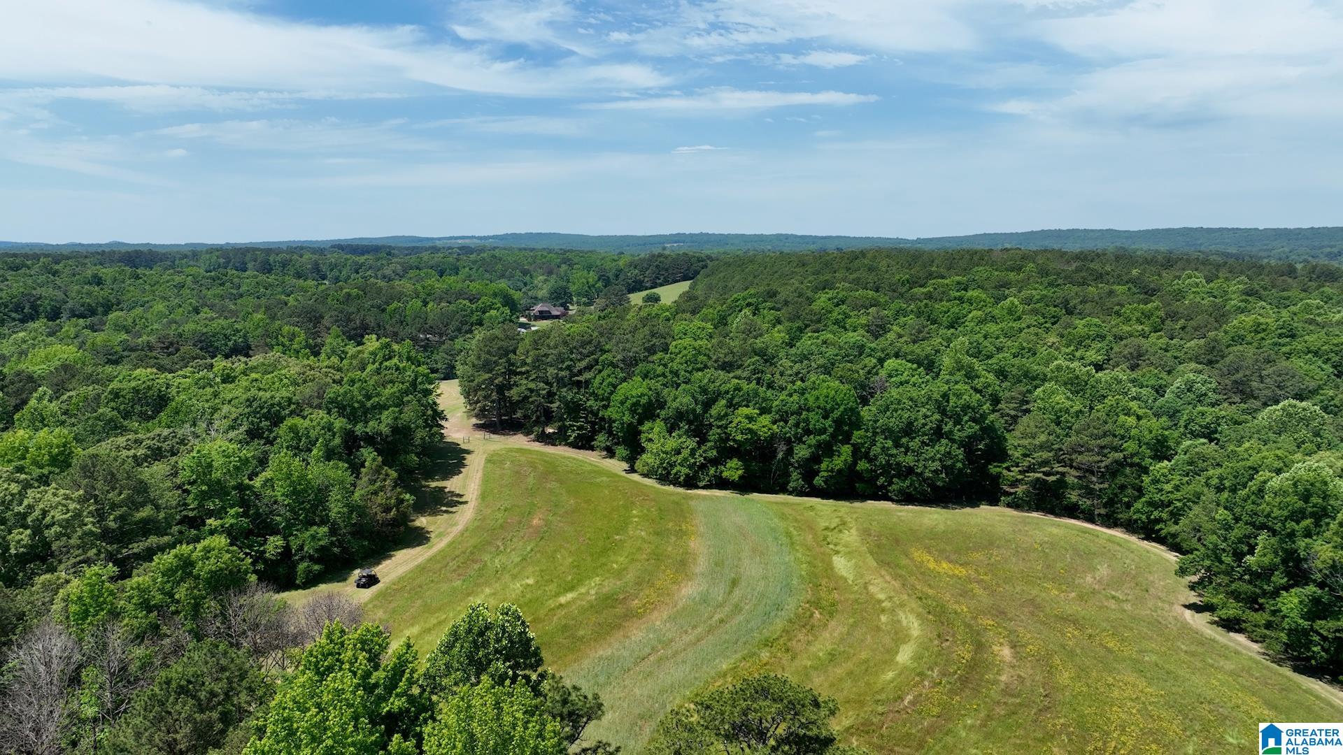 5145 Pine Mountain Road Remlap, AL 35133 - Photo 70 of 100