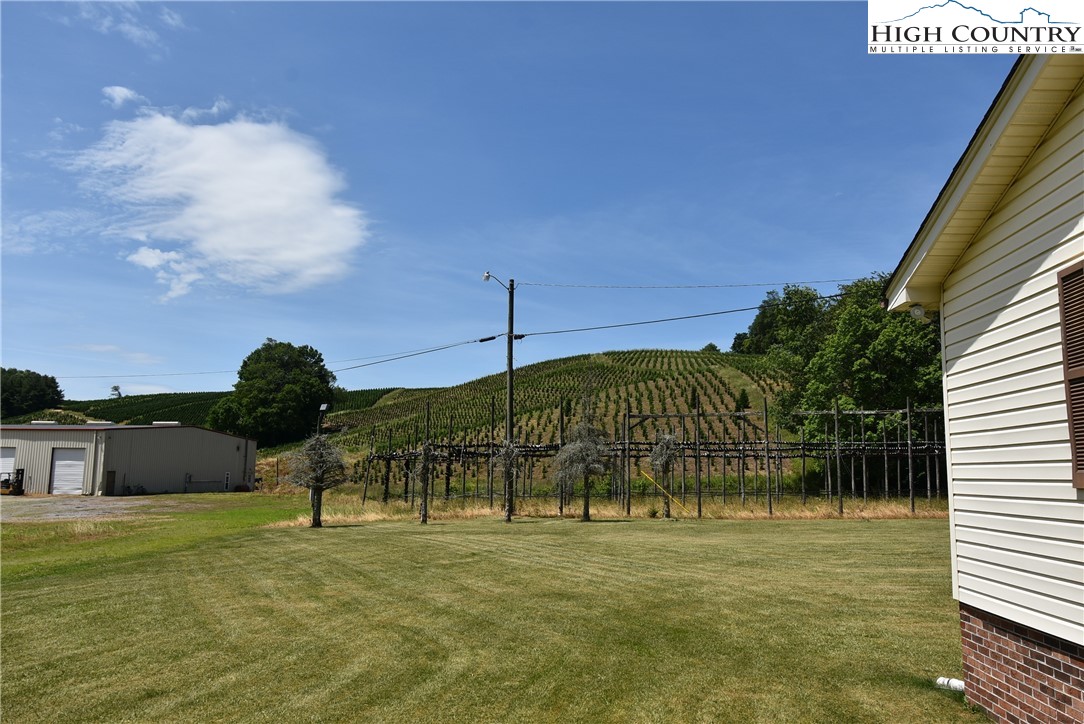 114 Dolinger Road Whitetop, VA 24292 - Photo 24 of 28 a view of a garden